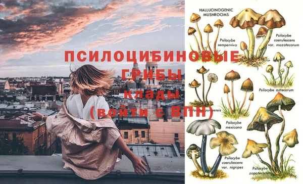 таблы Майский