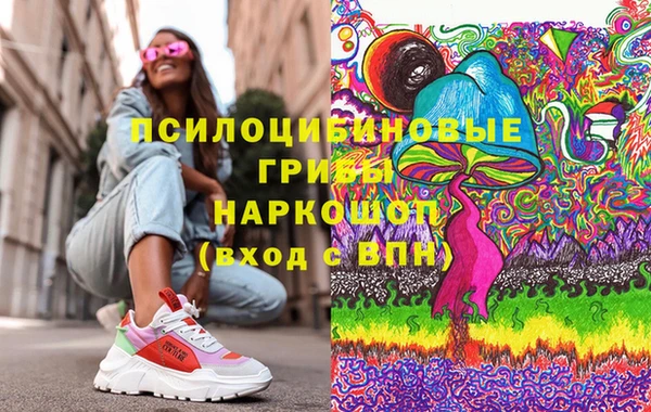 МДПВ Магас