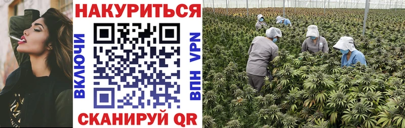 Каннабис тримм  где найти наркотики  ОМГ ОМГ ссылки  Нефтегорск 